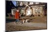 Boy Walking Dog on Sidewalk-William P. Gottlieb-Mounted Photographic Print