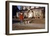 Boy Walking Dog on Sidewalk-William P. Gottlieb-Framed Photographic Print