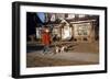 Boy Walking Dog on Sidewalk-William P. Gottlieb-Framed Photographic Print
