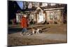 Boy Walking Dog on Sidewalk-William P. Gottlieb-Mounted Photographic Print