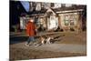 Boy Walking Dog on Sidewalk-William P. Gottlieb-Mounted Photographic Print