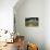 Boy Walking Towards a Barn-William P. Gottlieb-Photographic Print displayed on a wall