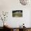 Boy Walking Towards a Barn-William P. Gottlieb-Photographic Print displayed on a wall