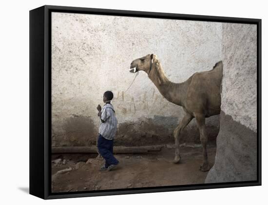 Boy Walks His Camel Through One of the 368 Alleyways Contained Within the City of Harar, Ethiopia-Mcconnell Andrew-Framed Stretched Canvas