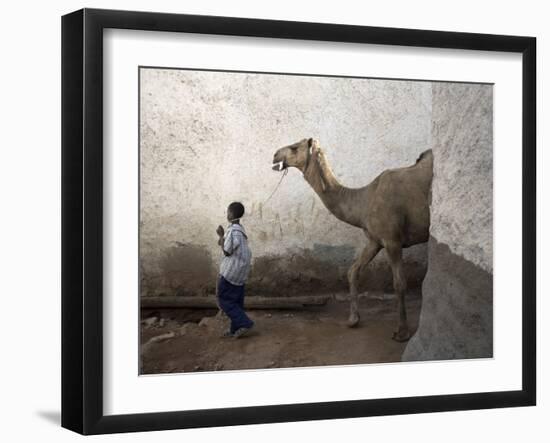 Boy Walks His Camel Through One of the 368 Alleyways Contained Within the City of Harar, Ethiopia-Mcconnell Andrew-Framed Photographic Print