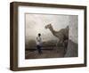 Boy Walks His Camel Through One of the 368 Alleyways Contained Within the City of Harar, Ethiopia-Mcconnell Andrew-Framed Photographic Print