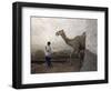 Boy Walks His Camel Through One of the 368 Alleyways Contained Within the City of Harar, Ethiopia-Mcconnell Andrew-Framed Photographic Print
