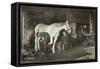 Boy Watches as a Blacksmith Shoes a Horse-null-Framed Stretched Canvas