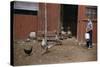 Boy Watching Geese Leave Barn-William P. Gottlieb-Stretched Canvas