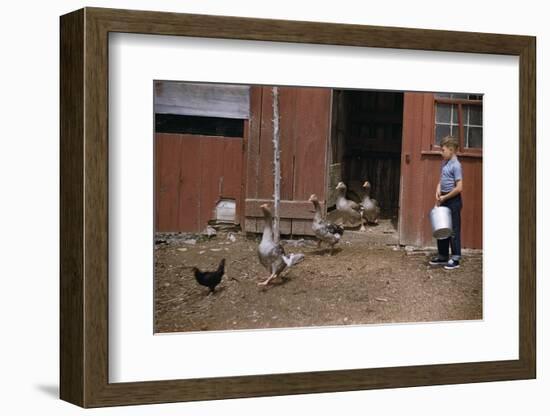 Boy Watching Geese Leave Barn-William P. Gottlieb-Framed Photographic Print