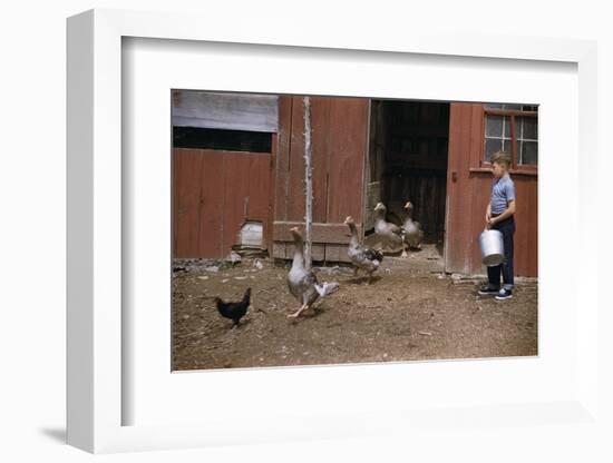 Boy Watching Geese Leave Barn-William P. Gottlieb-Framed Photographic Print