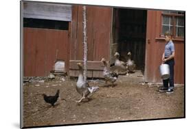 Boy Watching Geese Leave Barn-William P. Gottlieb-Mounted Photographic Print