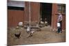 Boy Watching Geese Leave Barn-William P. Gottlieb-Mounted Photographic Print