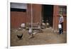 Boy Watching Geese Leave Barn-William P. Gottlieb-Framed Photographic Print