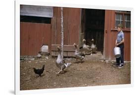 Boy Watching Geese Leave Barn-William P. Gottlieb-Framed Photographic Print