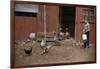 Boy Watching Geese Leave Barn-William P. Gottlieb-Framed Photographic Print