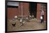 Boy Watching Geese Leave Barn-William P. Gottlieb-Framed Photographic Print