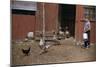 Boy Watching Geese Leave Barn-William P. Gottlieb-Mounted Photographic Print