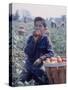 Boy Wearing an Old Scout Shirt, Eating Tomato During Harvest on Farm, Monroe, Michigan-John Loengard-Stretched Canvas