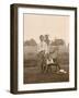 Boy with a Terrier Dog in a Garden-null-Framed Photographic Print