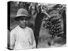 Boy with Bananas Growing on a Tree, Tenerife, Canary Islands, Spain, C1920S-C1930S-null-Stretched Canvas