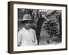 Boy with Bananas Growing on a Tree, Tenerife, Canary Islands, Spain, C1920S-C1930S-null-Framed Photographic Print