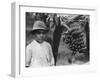 Boy with Bananas Growing on a Tree, Tenerife, Canary Islands, Spain, C1920S-C1930S-null-Framed Photographic Print