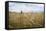 Boy with Bicycle in Grain Field-Ralf Gerard-Framed Stretched Canvas