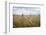 Boy with Bicycle in Grain Field-Ralf Gerard-Framed Photographic Print