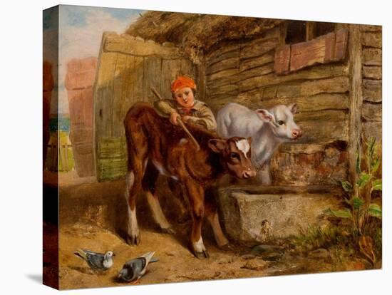 Boy with Calves and Trough-Henry Dawson-Stretched Canvas