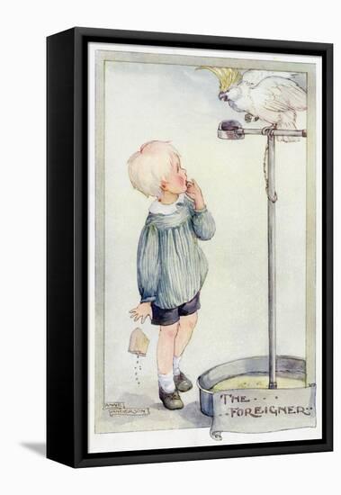 Boy with Cockatoo 20C-Anne Anderson-Framed Stretched Canvas