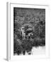 Boy with Dog Fishing-Philip Gendreau-Framed Photographic Print