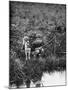 Boy with Dog Fishing-Philip Gendreau-Mounted Photographic Print