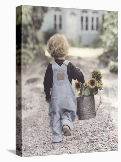 Boy with Sunflowers-Gail Goodwin-Stretched Canvas