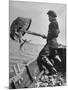 Boy Working Feverishly to Fill His Dory with Fish-null-Mounted Photographic Print