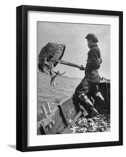 Premium Photographic Print, , large