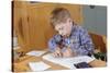 Boy Working on His Schoolwork-William P. Gottlieb-Stretched Canvas