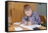 Boy Working on His Schoolwork-William P. Gottlieb-Framed Stretched Canvas