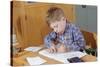 Boy Working on His Schoolwork-William P. Gottlieb-Stretched Canvas