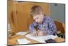 Boy Working on His Schoolwork-William P. Gottlieb-Mounted Photographic Print