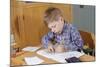 Boy Working on His Schoolwork-William P. Gottlieb-Mounted Photographic Print