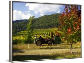 Boynton's of Bright Vineyard, near Bright, Victoria, Australia-David Wall-Framed Photographic Print