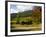 Boynton's of Bright Vineyard, near Bright, Victoria, Australia-David Wall-Framed Photographic Print