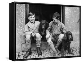 Boys and Spaniels-null-Framed Stretched Canvas