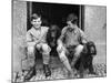 Boys and Spaniels-null-Mounted Photographic Print