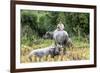 Boys are Taking Care of the Family Buffaloes. Sapa Region. Vietnam-Tom Norring-Framed Premium Photographic Print