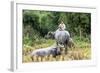 Boys are Taking Care of the Family Buffaloes. Sapa Region. Vietnam-Tom Norring-Framed Photographic Print