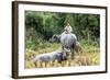 Boys are Taking Care of the Family Buffaloes. Sapa Region. Vietnam-Tom Norring-Framed Photographic Print