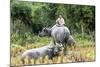 Boys are Taking Care of the Family Buffaloes. Sapa Region. Vietnam-Tom Norring-Mounted Photographic Print