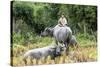 Boys are Taking Care of the Family Buffaloes. Sapa Region. Vietnam-Tom Norring-Stretched Canvas